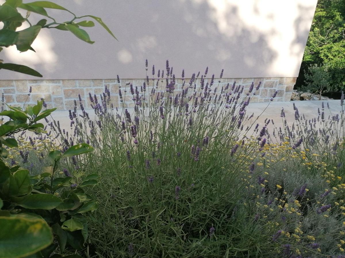 Amazing 4 Bedroom Villa With Swimming Pool And Wifi, Family Frendly Tribalj  Екстер'єр фото