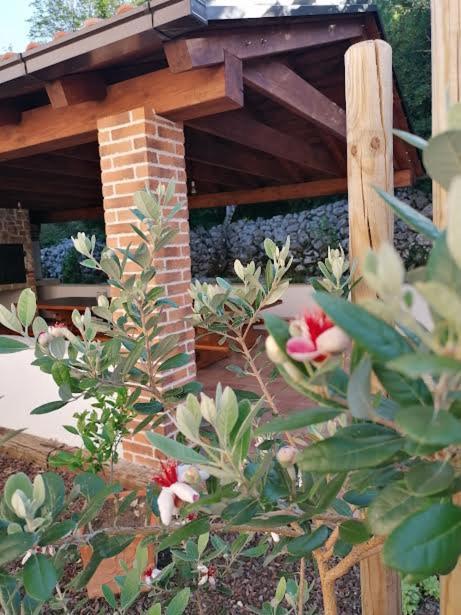 Amazing 4 Bedroom Villa With Swimming Pool And Wifi, Family Frendly Tribalj  Екстер'єр фото